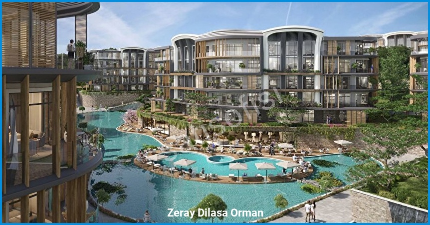 Zeray Dilasa Orman 4
