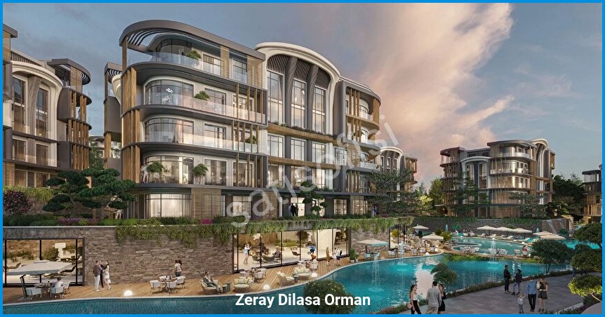 Zeray Dilasa Orman 6
