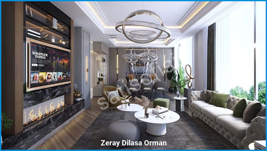 Zeray Dilasa Orman 8