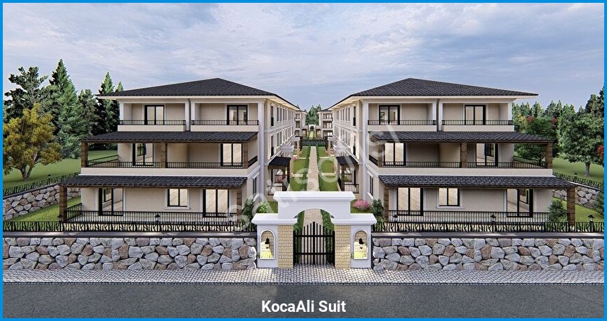 KocaAli Suit