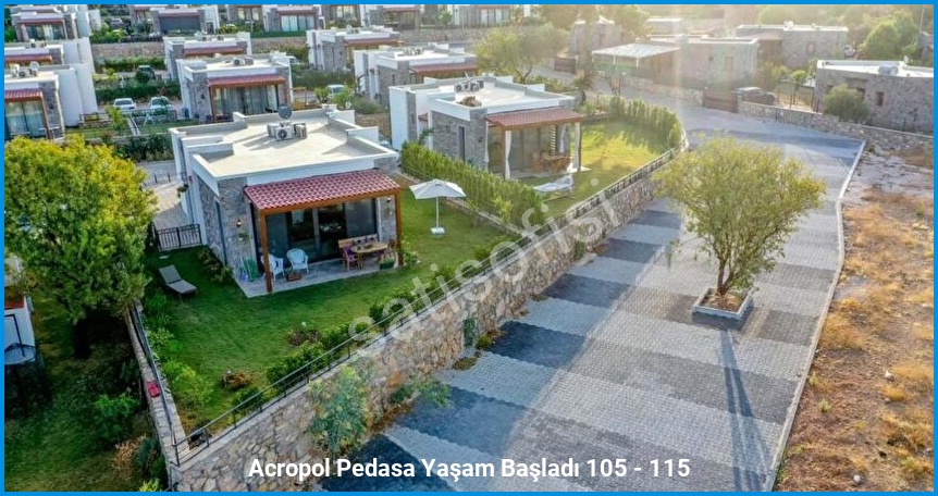 Acropol Pedasa 10