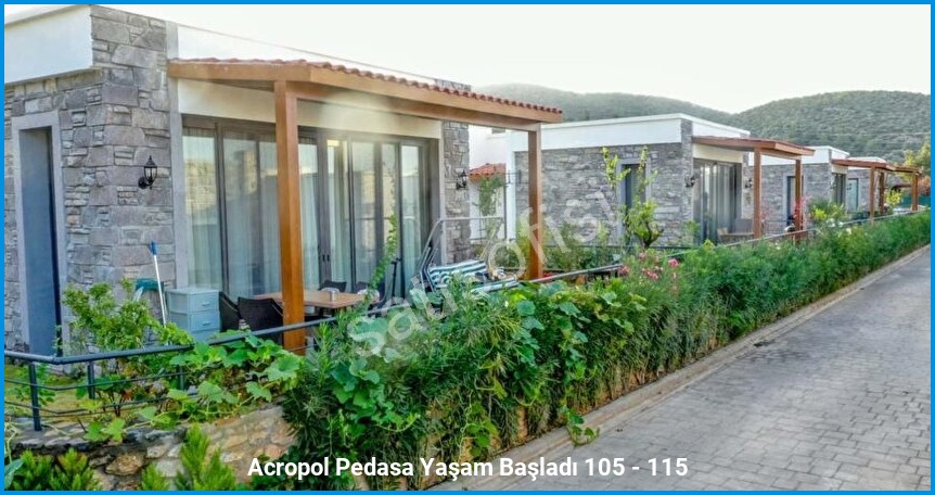 Acropol Pedasa 12