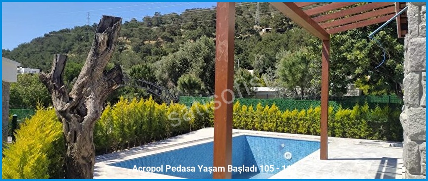 Acropol Pedasa 13