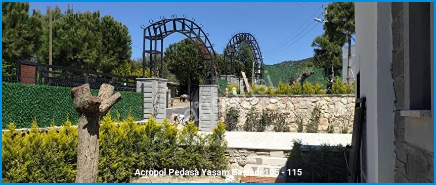 Acropol Pedasa 14