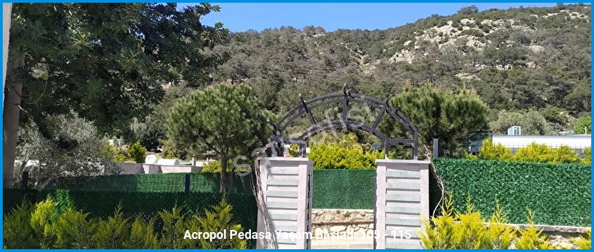 Acropol Pedasa 15