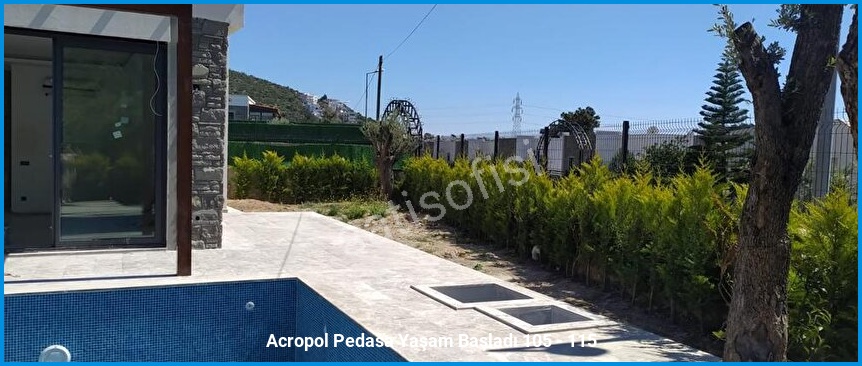 Acropol Pedasa 17
