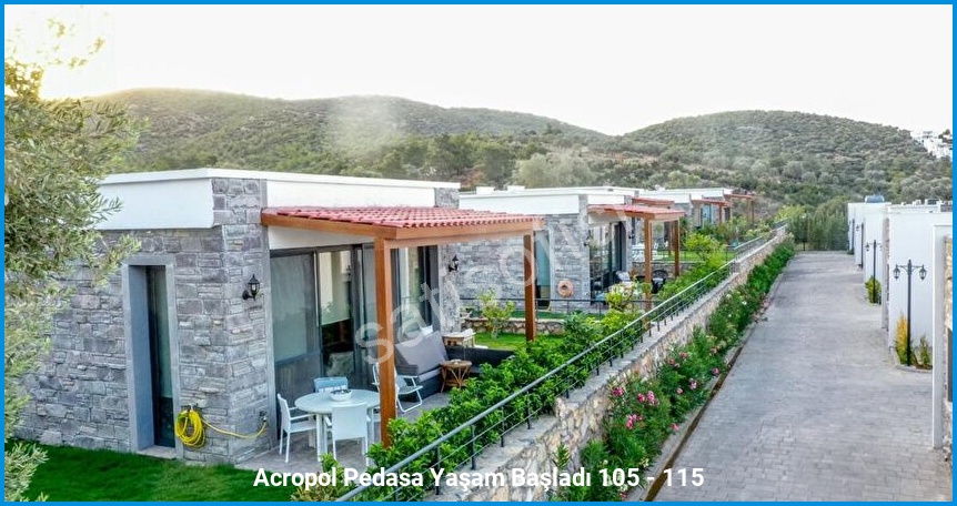 Acropol Pedasa 7