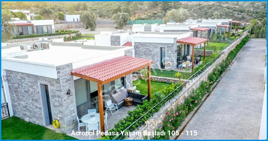 Acropol Pedasa 8