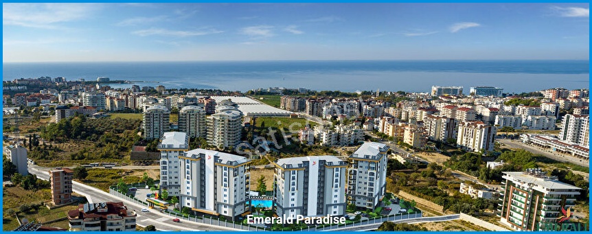 Emerald Paradise 17