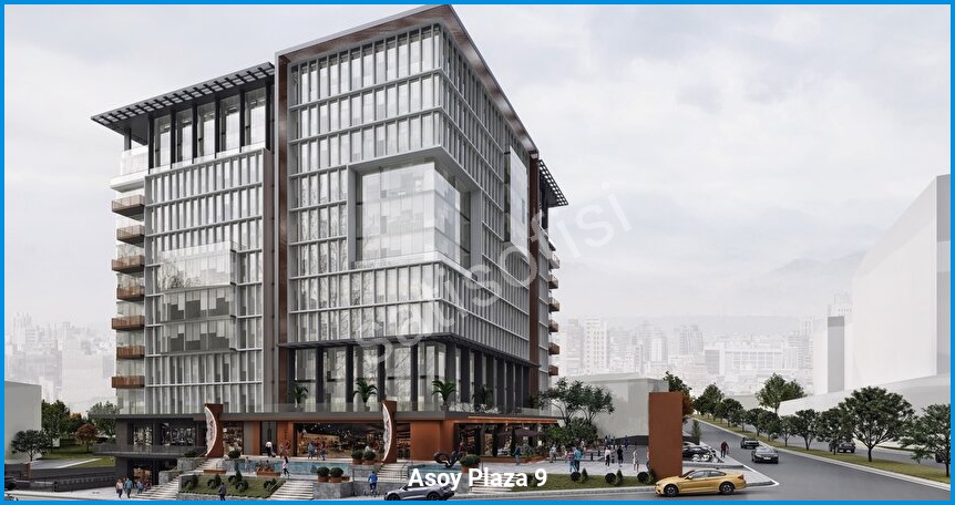 Asoy Plaza 9