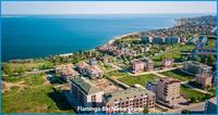 Flamingo Blu Mimarsinan