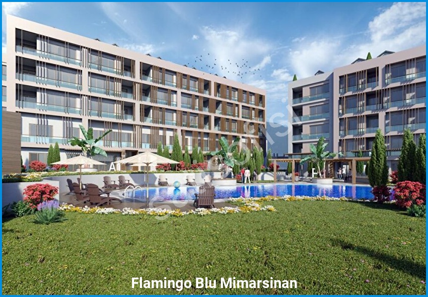 Flamingo Blu Mimarsinan - Proje Görseli 2