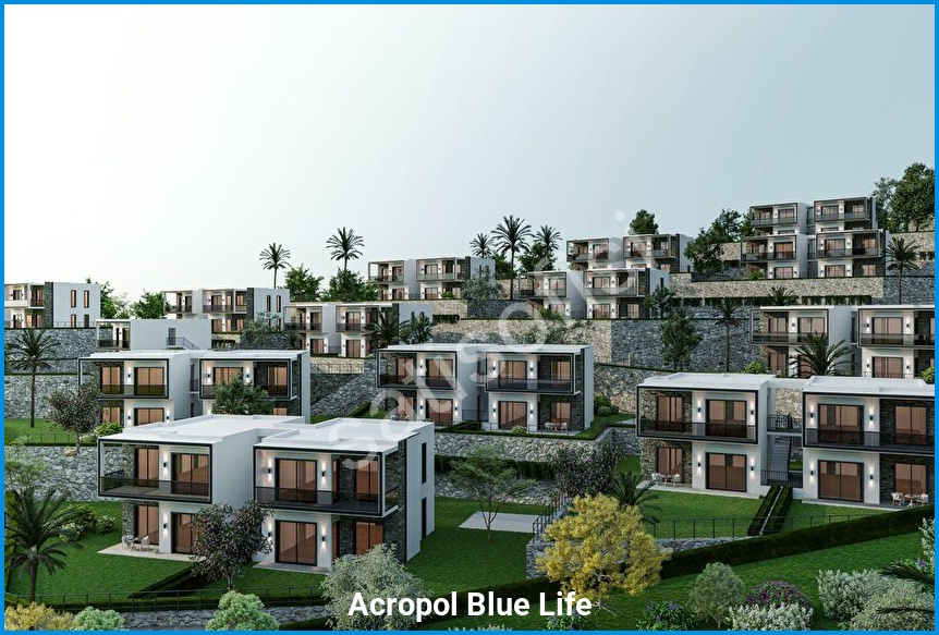 Acropol Blue Life