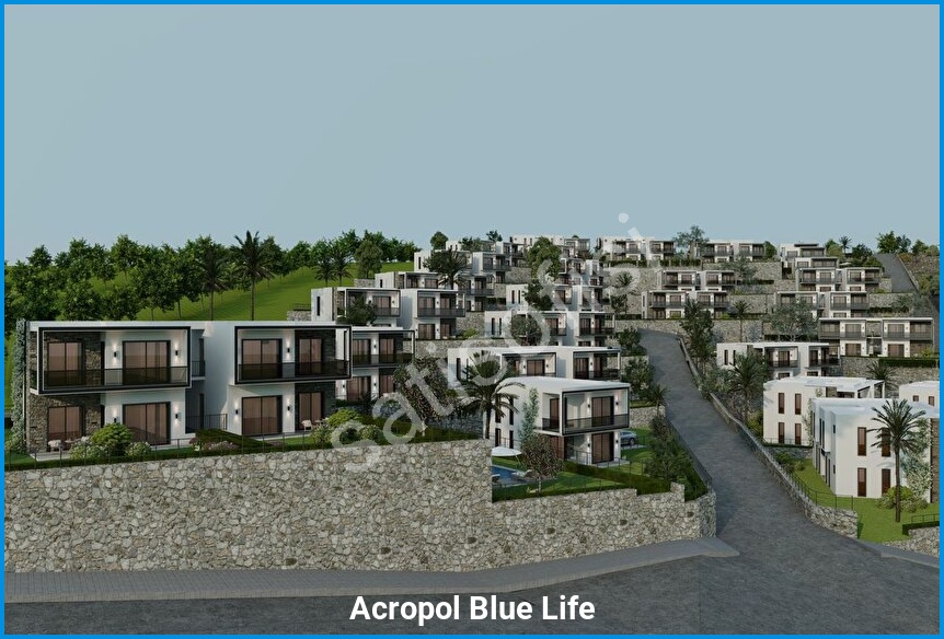 Acropol Blue Life 10