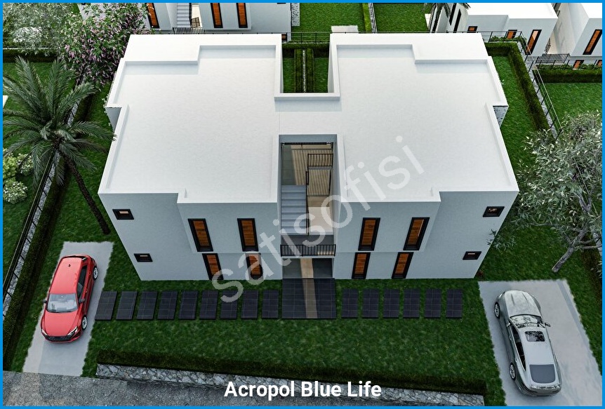 Acropol Blue Life 11