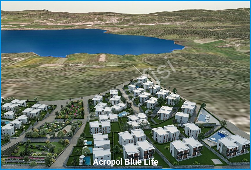 Acropol Blue Life 12