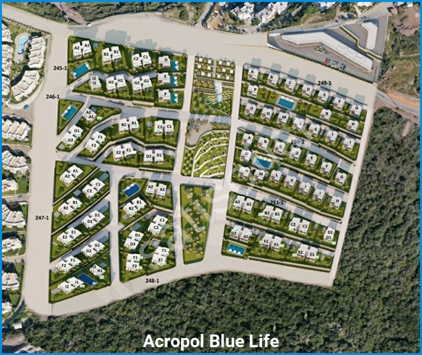 Acropol Blue Life 14