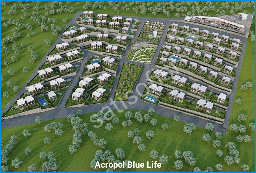Acropol Blue Life 15