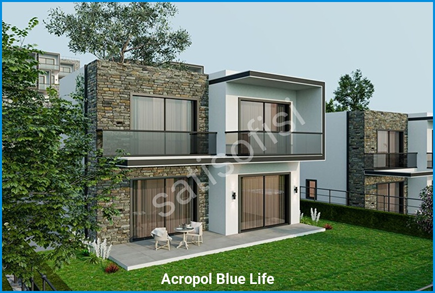 Acropol Blue Life 2