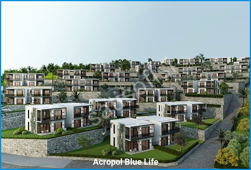 Acropol Blue Life 3