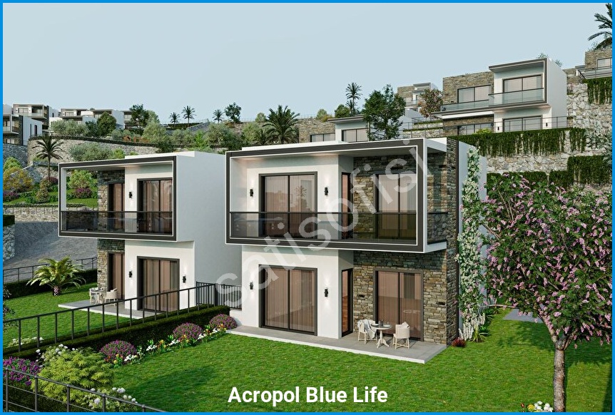 Acropol Blue Life 4