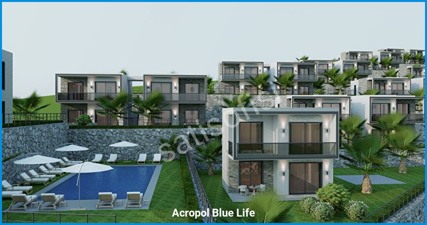 Acropol Blue Life 5