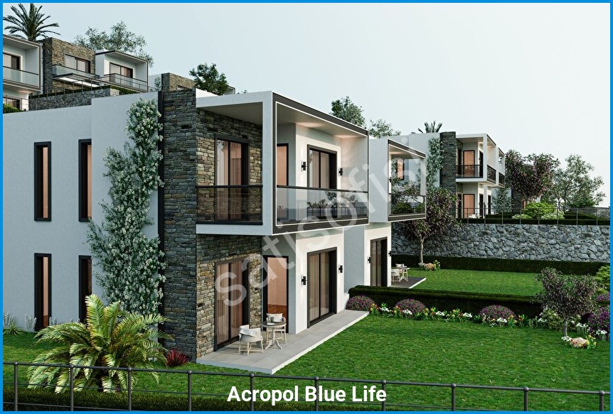 Acropol Blue Life 6