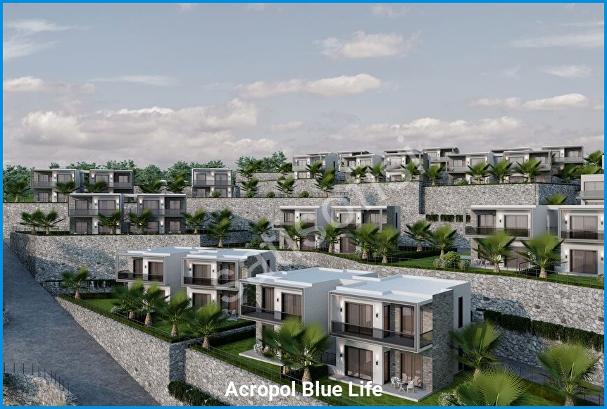 Acropol Blue Life 7