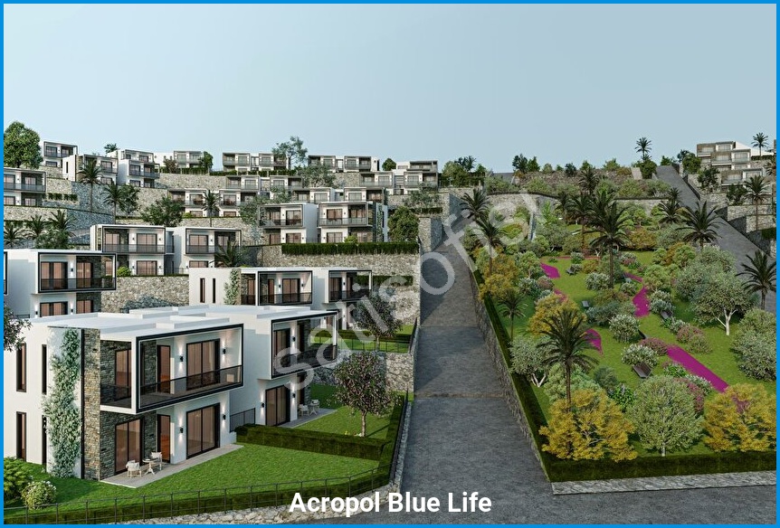 Acropol Blue Life 9