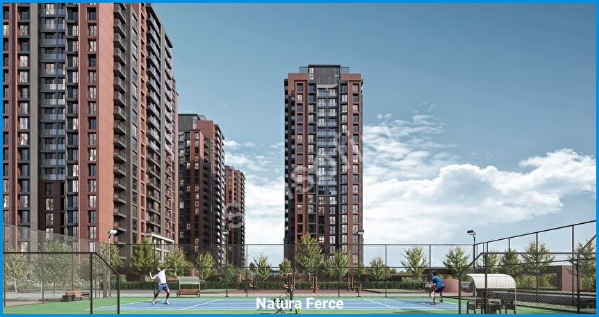 Natura Ferce 5