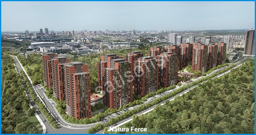Natura Ferce 6