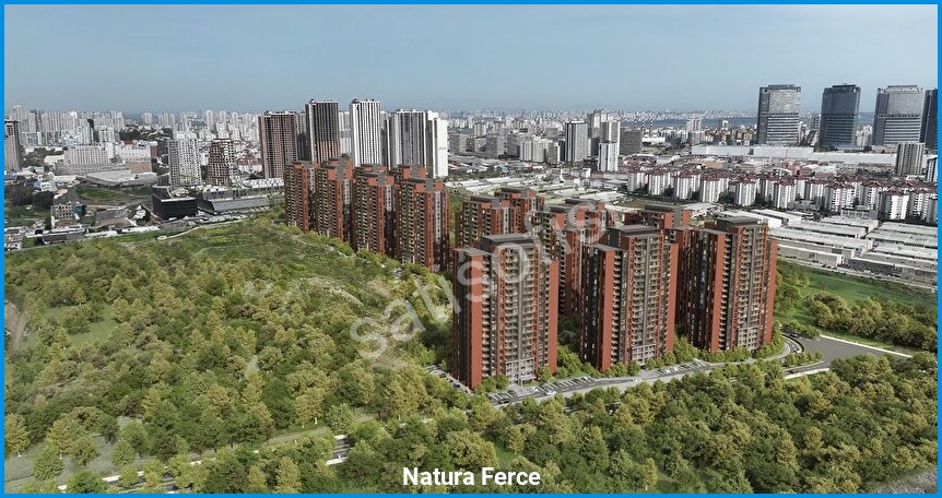 Natura Ferce 7