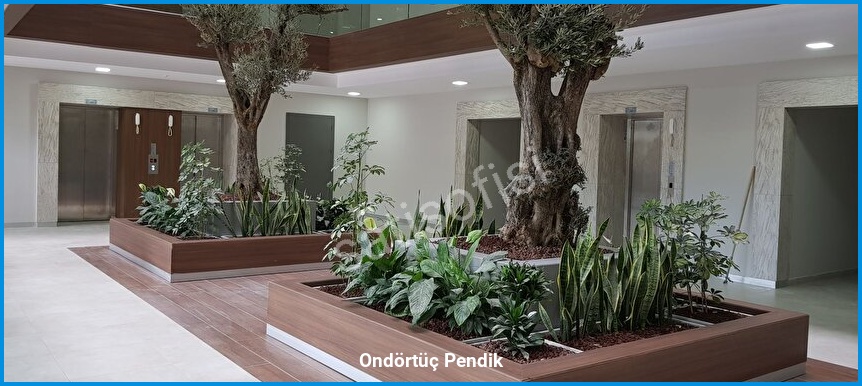 Ondörtüç Pendik görsel 7