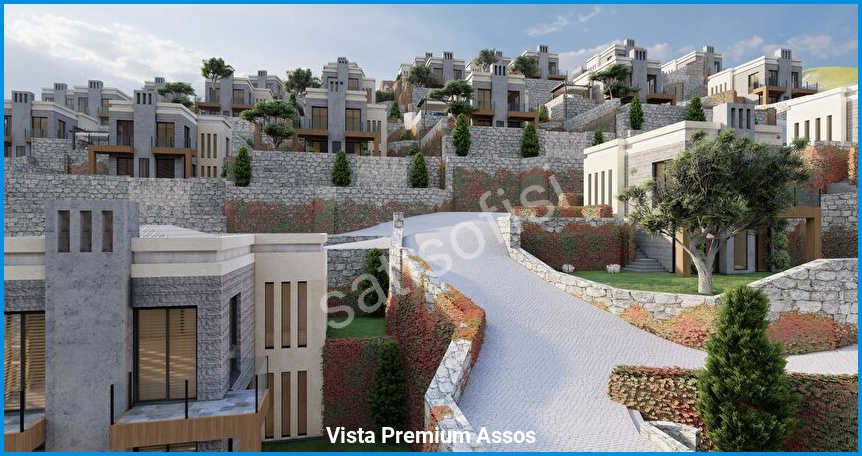 Vista Premium Assos 11