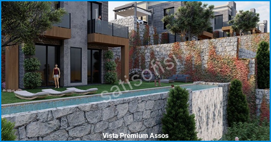 Vista Premium Assos 12
