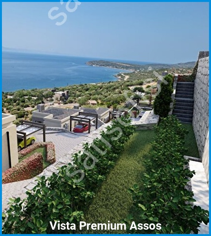 Vista Premium Assos 15