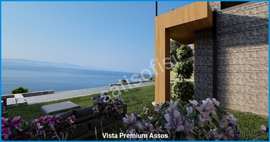 Vista Premium Assos 6