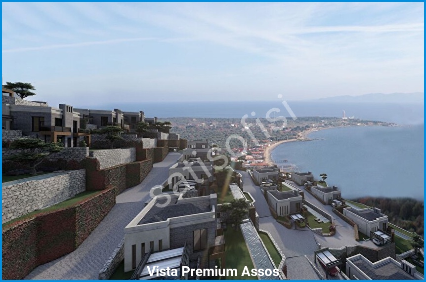 Vista Premium Assos 7