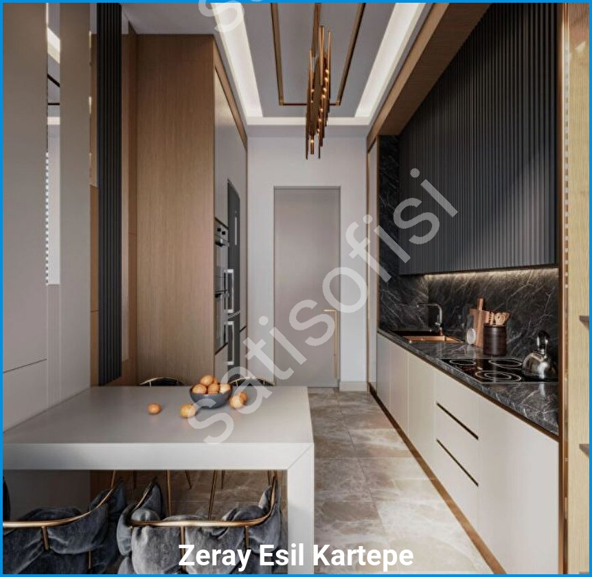 Zeray Esil Kartepe görsel 10