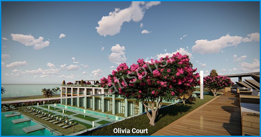 Olivia Court görsel 10