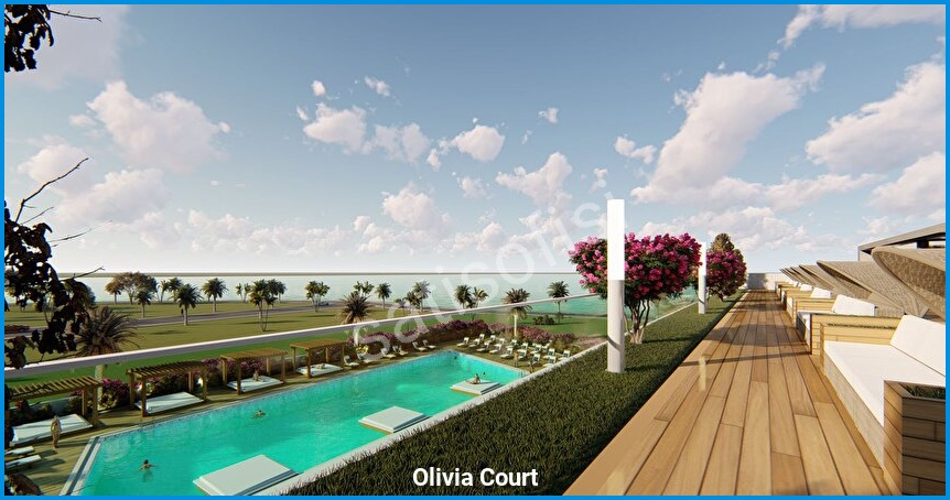 Olivia Court görsel 20