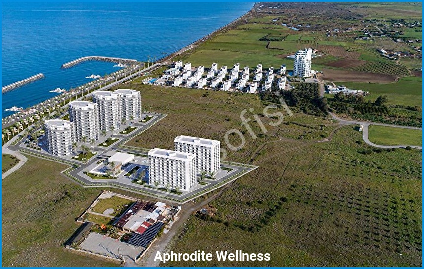 Aphrodite Wellness 10