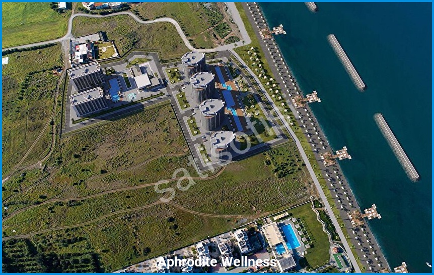 Aphrodite Wellness 11
