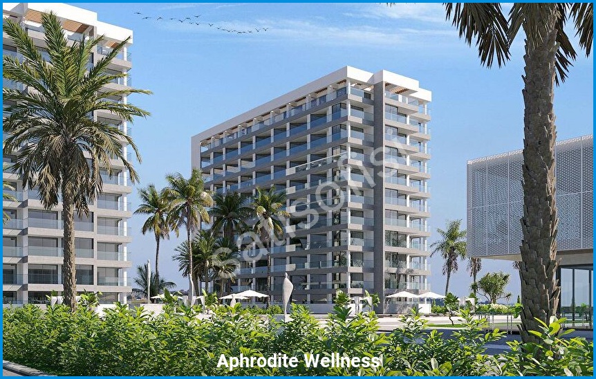 Aphrodite Wellness 3