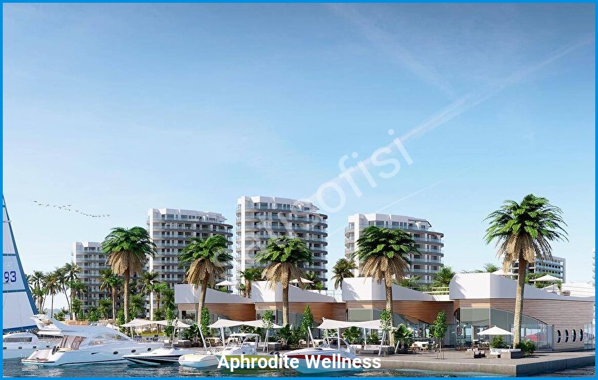 Aphrodite Wellness 4
