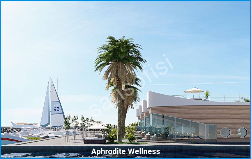 Aphrodite Wellness 5