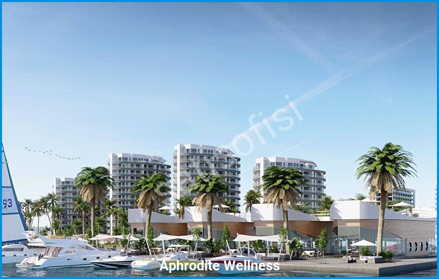 Aphrodite Wellness 6