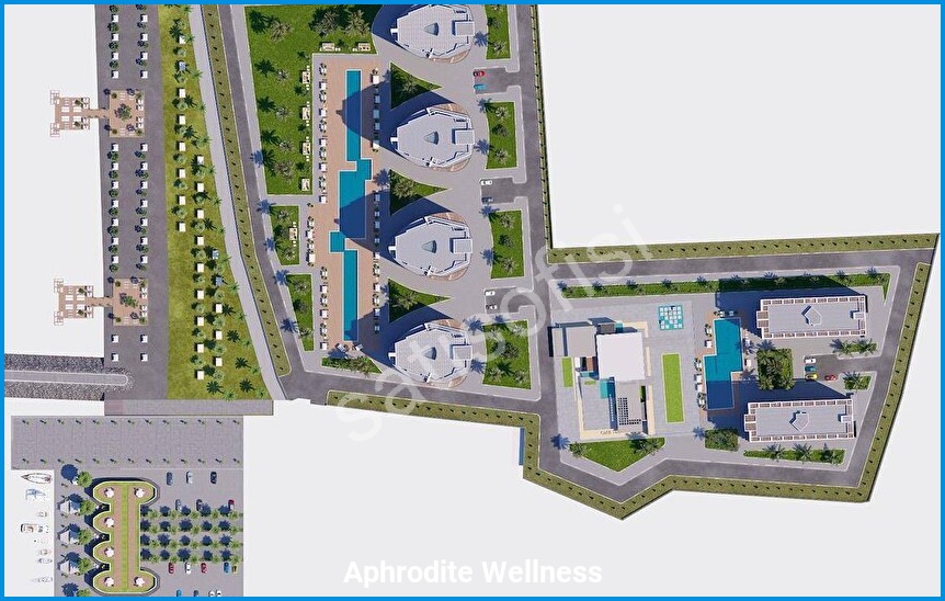 Aphrodite Wellness 8
