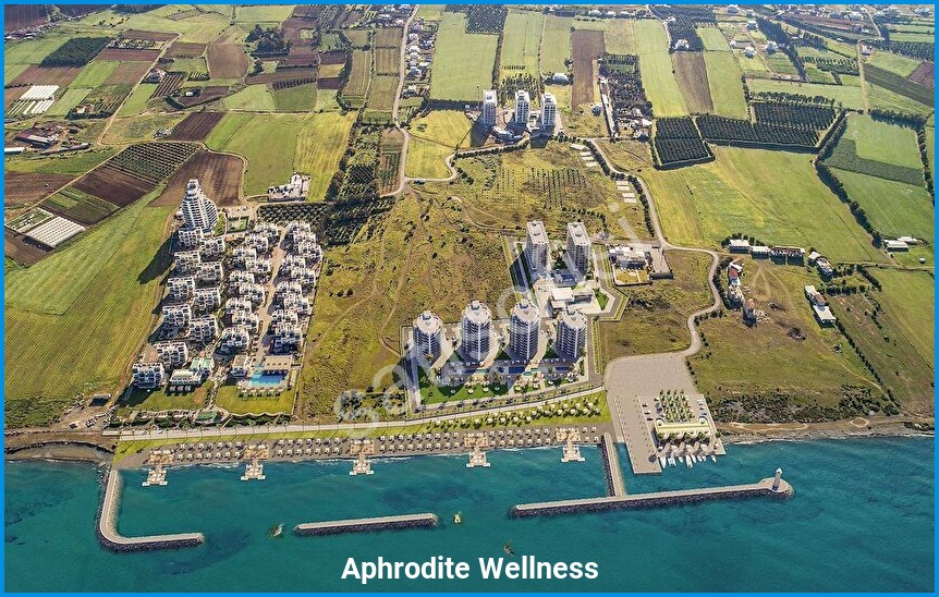 Aphrodite Wellness 9