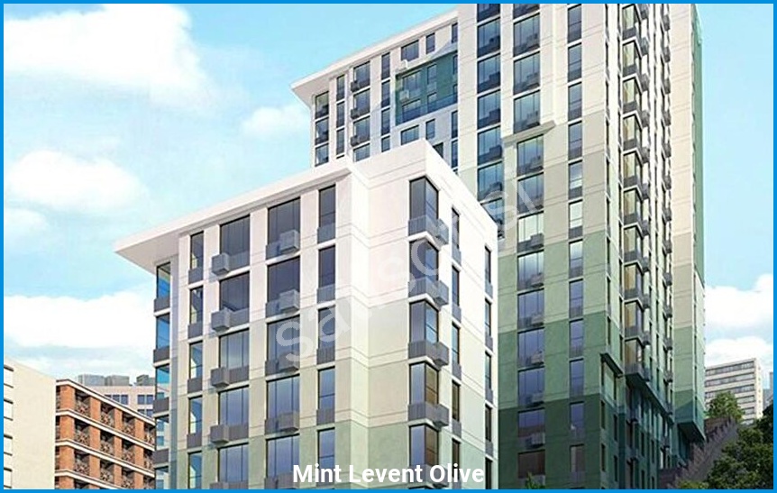 Mint Levent Olive görsel 2